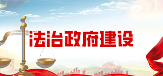 法治政府建设
